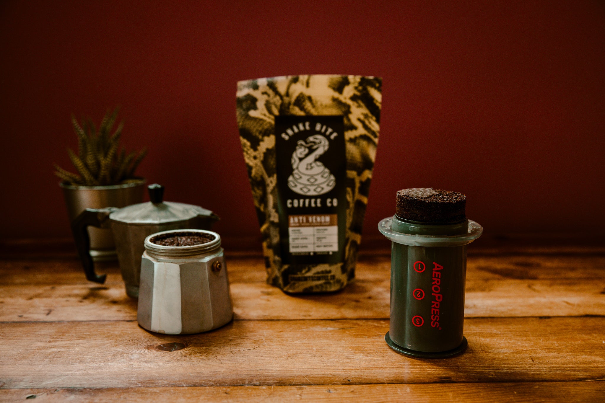 Clever ways to reuse old coffee grounds Snake Bite Coffee